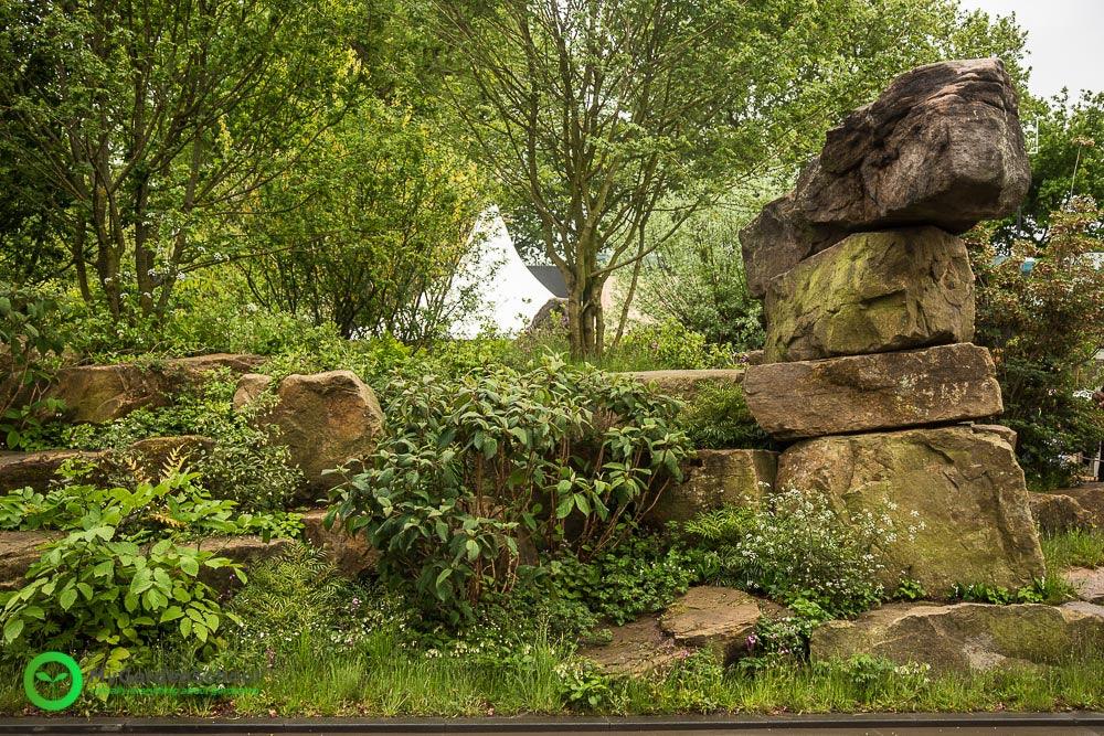Best in Show! The Laurent-Perrier Garden Chelsea Flower Show 2015