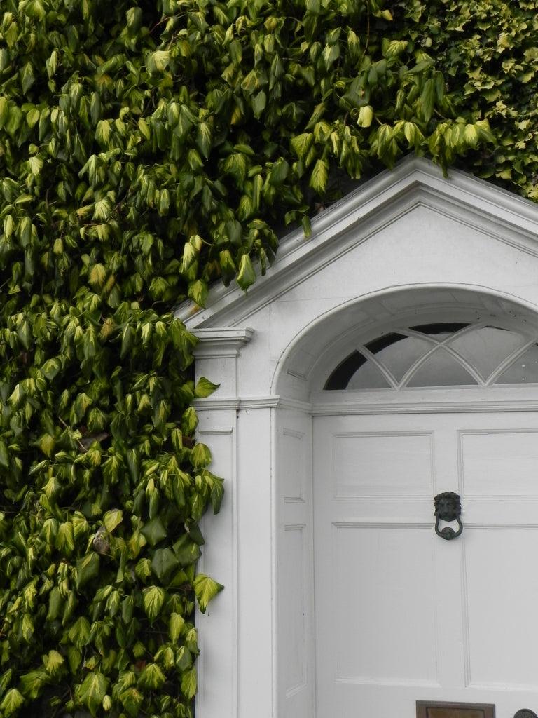 How to plant a small urban garden Learning with Experts