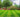 Lawn Care: Spring & Summer