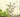 Garden Wall Art: Transform your vertical space