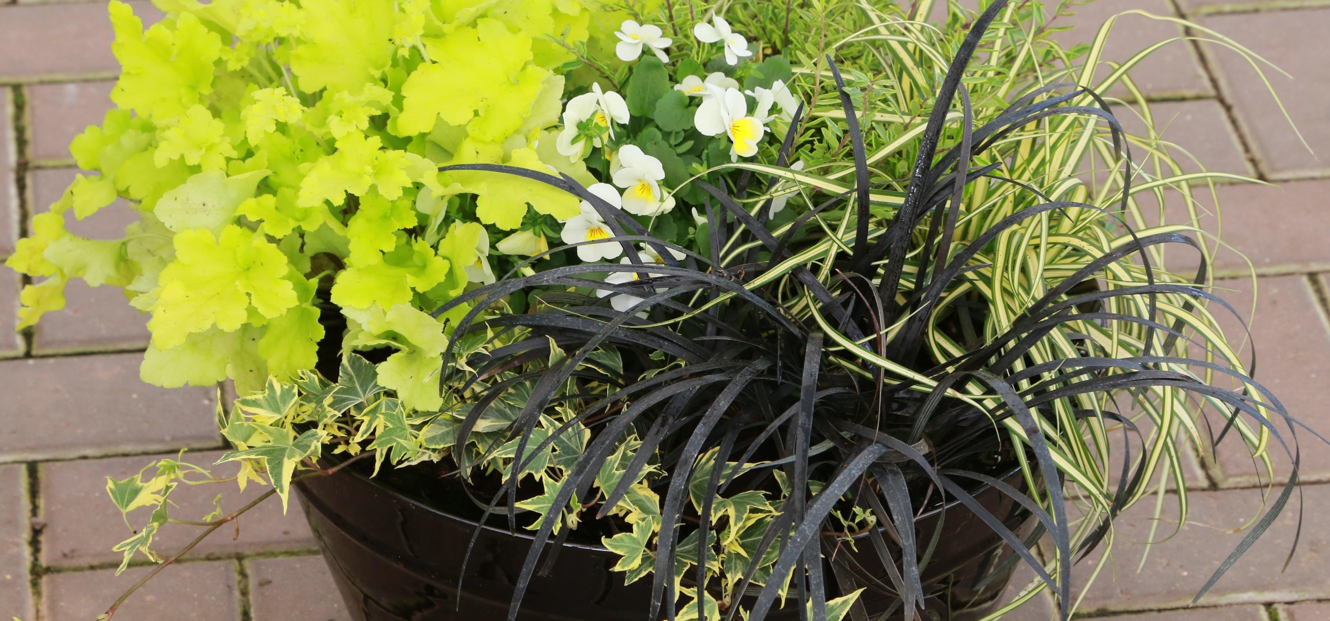 Custom Baskets and Pots | Mary's Greenhouse \u0026 Terra Flora Landscaping, image size:4351x2032