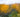 Under-Planting Deciduous Shrubs & Trees