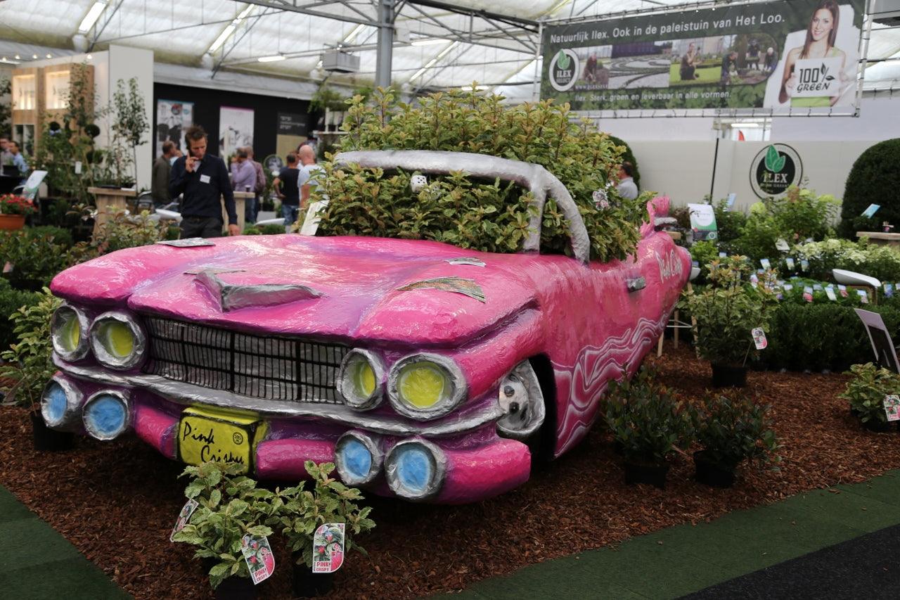 花 t3plant.car Plantarium 2015: The world’s biggest garden plant event