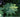Big Leaves: bold foliage