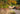 Piet Oudolf Garden Design online