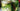 Fermenting Online Course