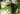 Fermenting Online Course