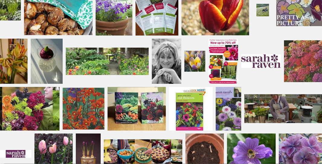 Why Gardening is appealing to the Younger Crowd