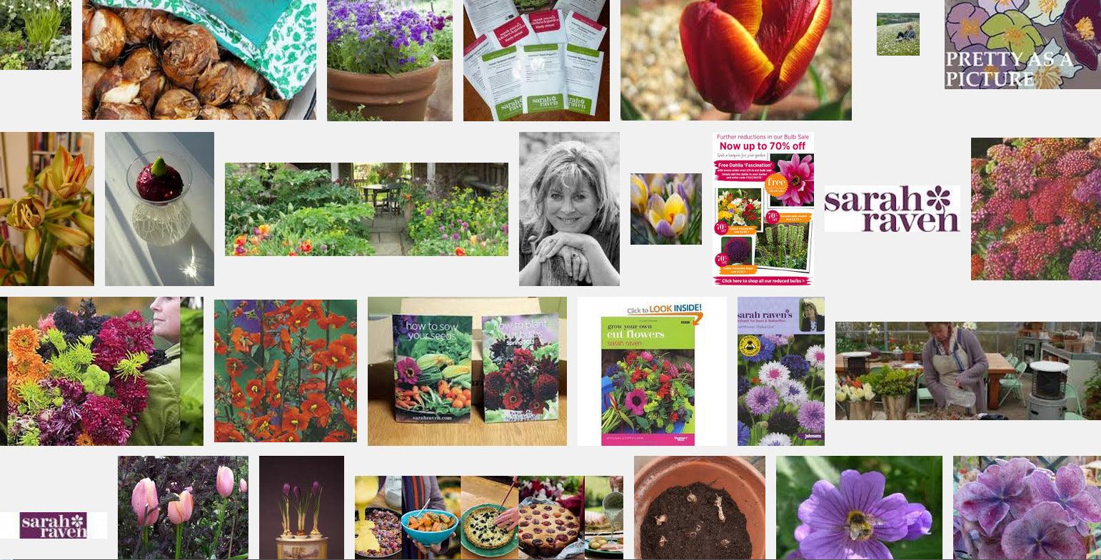 Why Gardening is appealing to the Younger Crowd