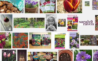 Why Gardening is appealing to the Younger Crowd