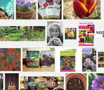 Why Gardening is appealing to the Younger Crowd