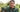 Episode 5: Perennials for late summer and early autumn