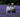 Lavender: An Interview with Anne Butler of Lavenderfields, Hampshire, UK