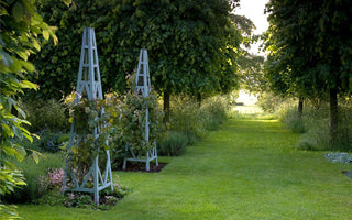 Secret Gardens of East Anglia