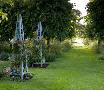 Secret Gardens of East Anglia