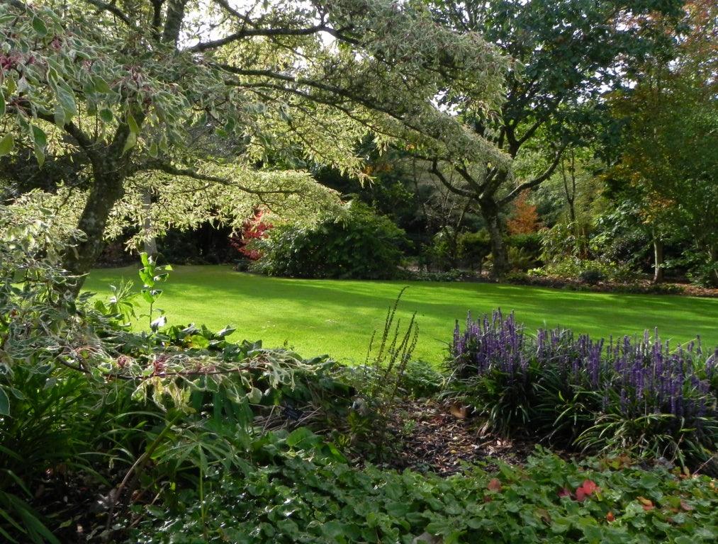 #RHS Rosemoor; The glorious Devon garden of The Royal Horticultural Society