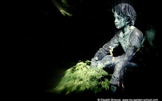 Garden features; Personalising your Plot