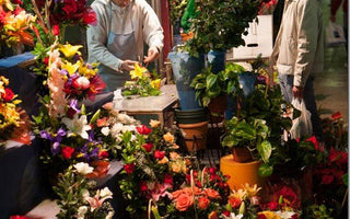 10 Things You Should Know About Your Camera