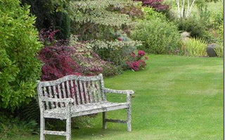 How to plant a garden for high impact & unity