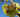 Three Things We Must Do - To Save The Bees, Ourselves And The Planet