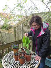 Naomi Slade, Gardening Journalist, Author and Photographer