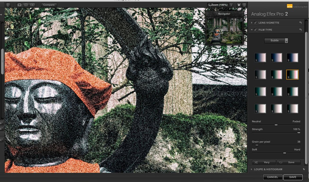 Give digital images an analogue twist