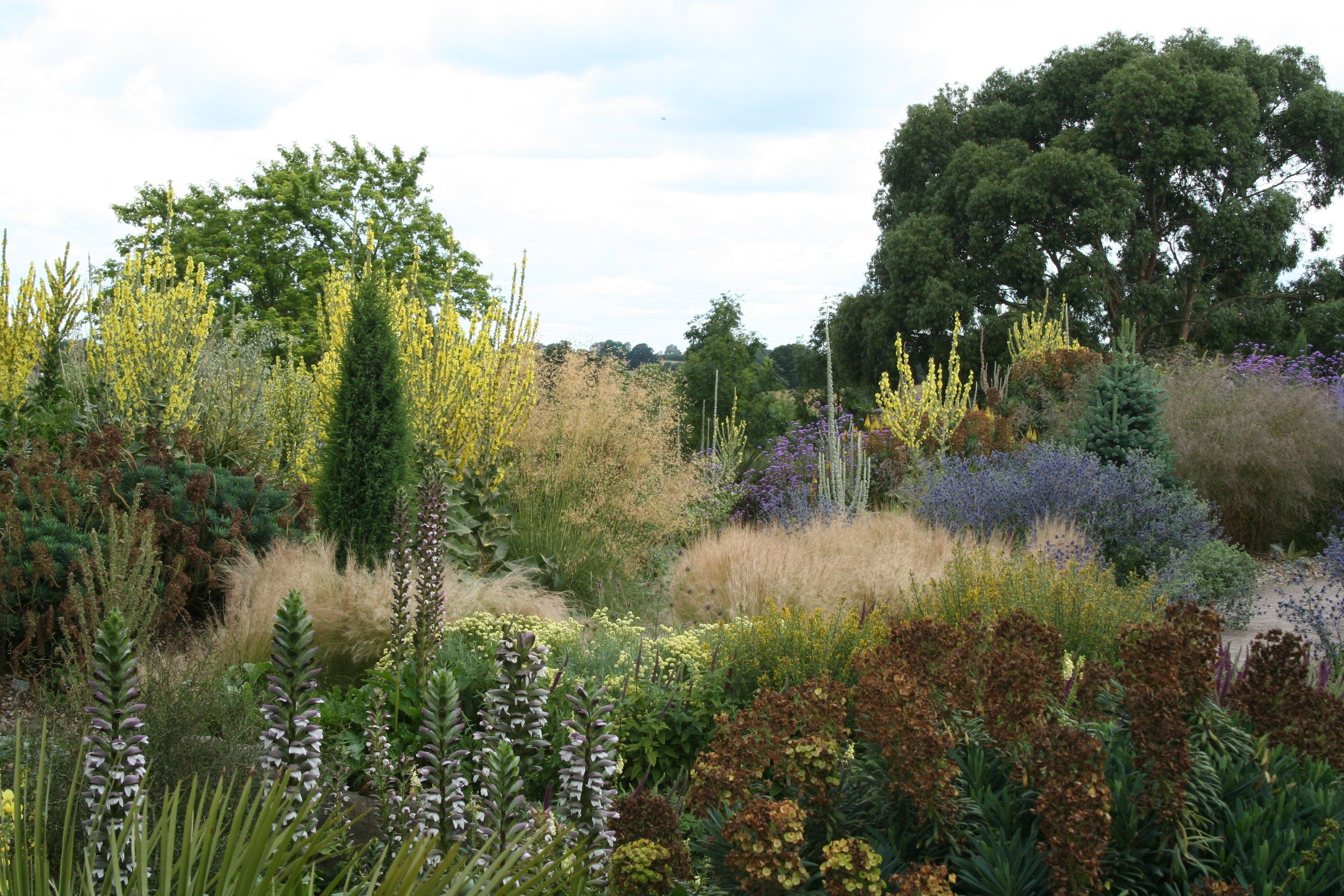 Bring back the shrubs; Why have designers gone soft?