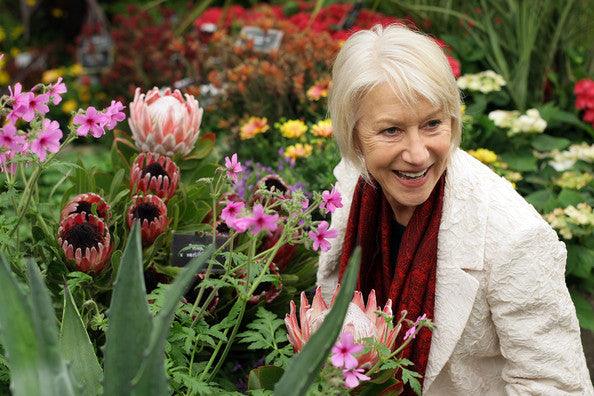 MyGardenSchool Full List of Chelsea 2014 Medal Predictions For Show Gardens
