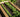 Harvesting early salad crops and show time for raised beds