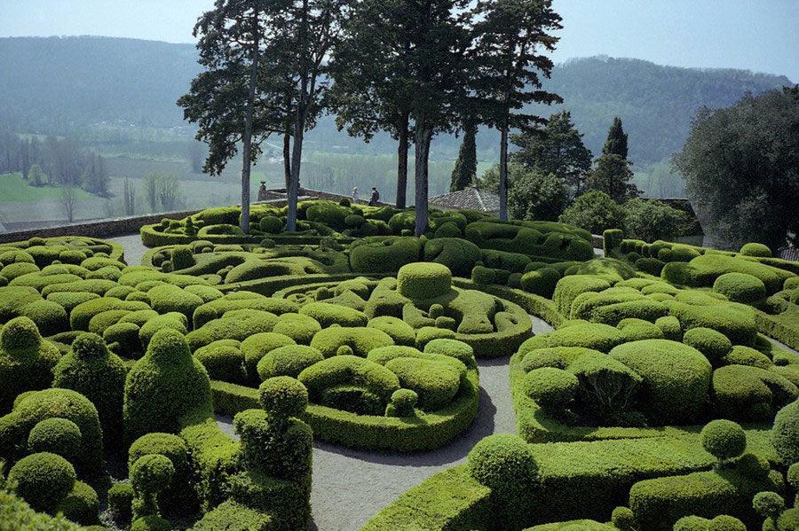 Hedge Shears: What to Buy & Where to Use Them