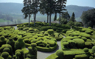 Hedge Shears: What to Buy & Where to Use Them