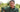 Episode 10: Daffodils with Dr. Noel Kingsbury