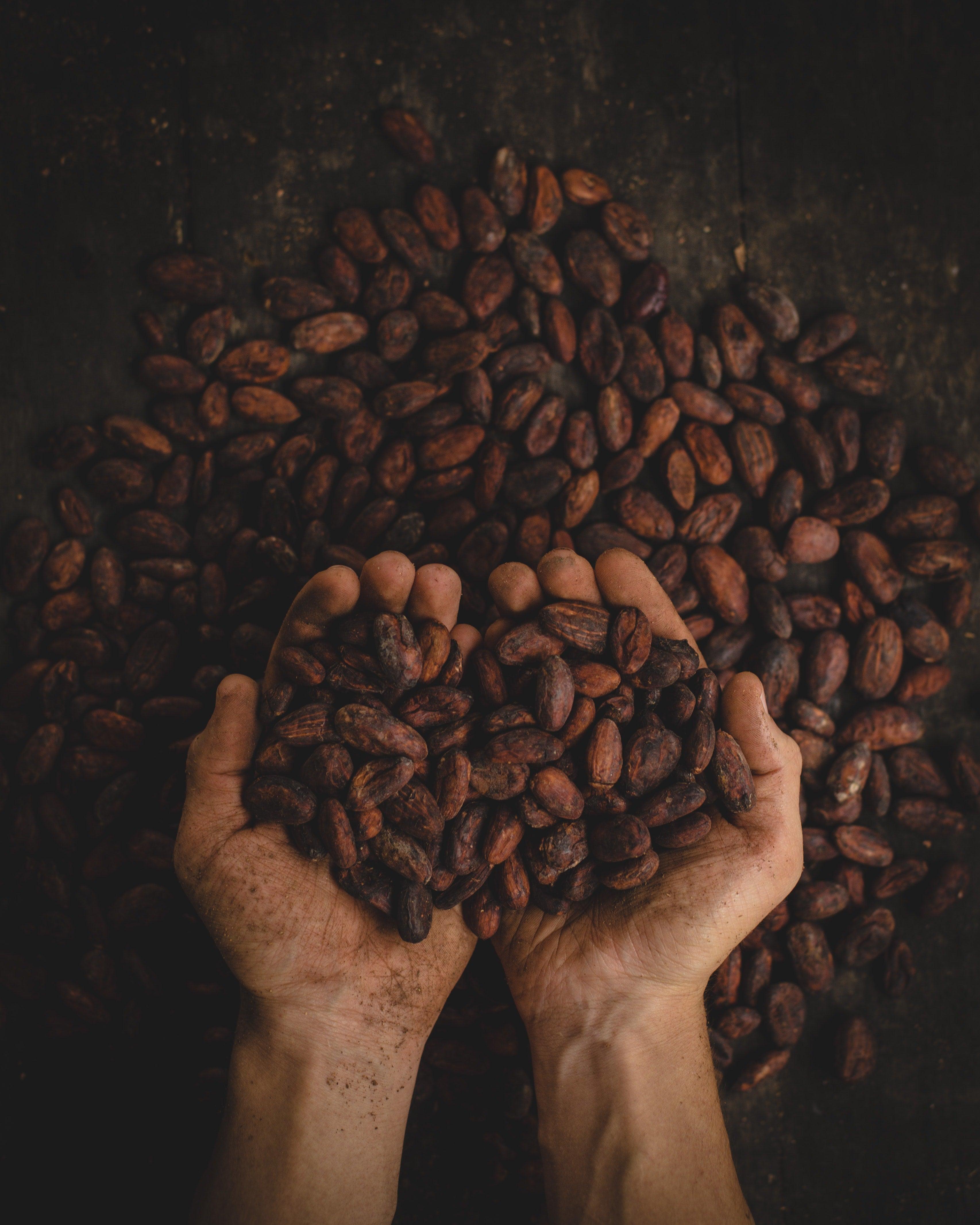 Pairing Chocolate