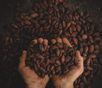 Pairing Chocolate