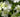 The top 100 Gardening questions 51 &ndash; 60