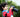 Are You Holding Your Camera Correctly?