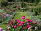 Gardens to Visit: Mottisfont Abbey