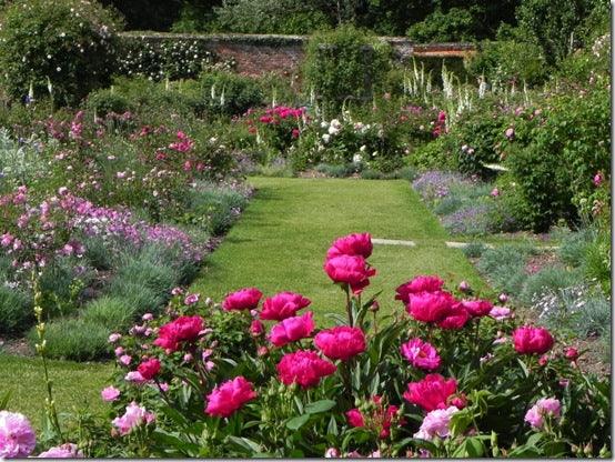 Gardens to Visit: Mottisfont Abbey