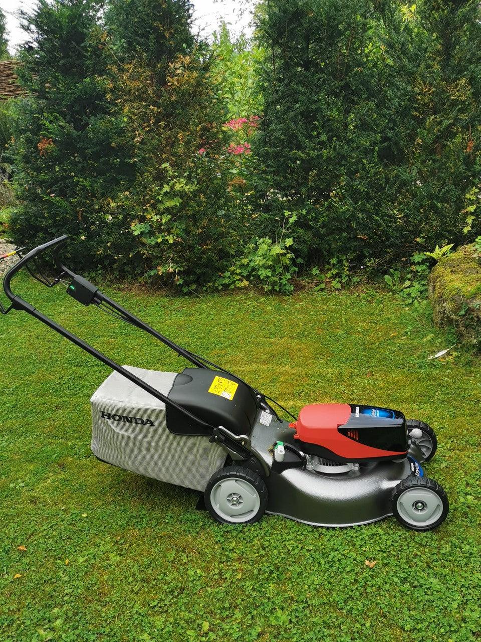 Summer lawn care