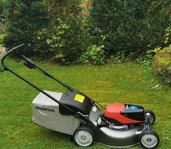 Summer lawn care
