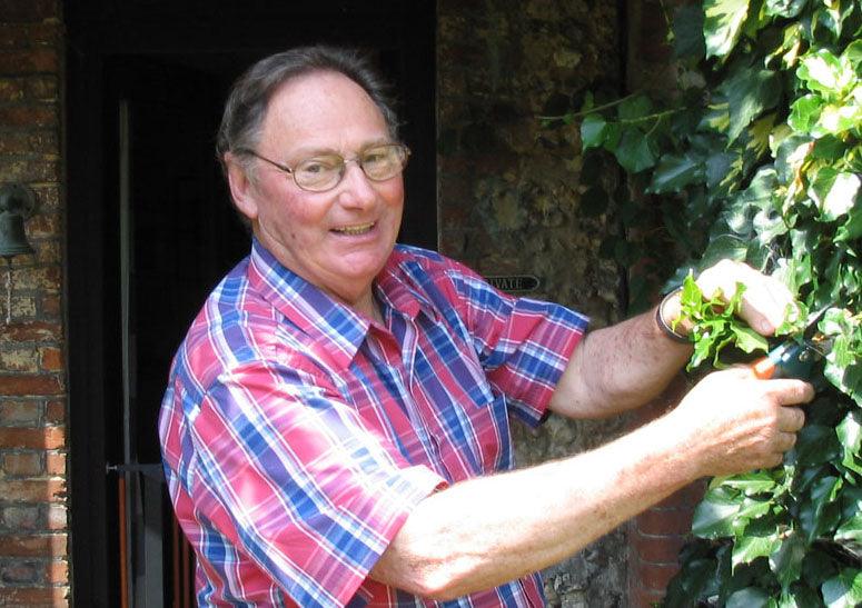 Our Tutor's Quotes from this Year’s Chelsea Flower Show