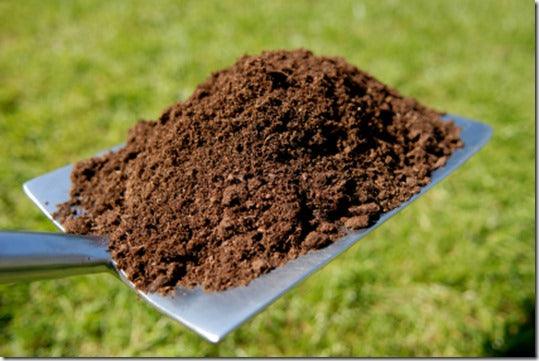Soil: Preparation and Improvement