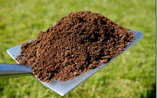 Soil: Preparation and Improvement
