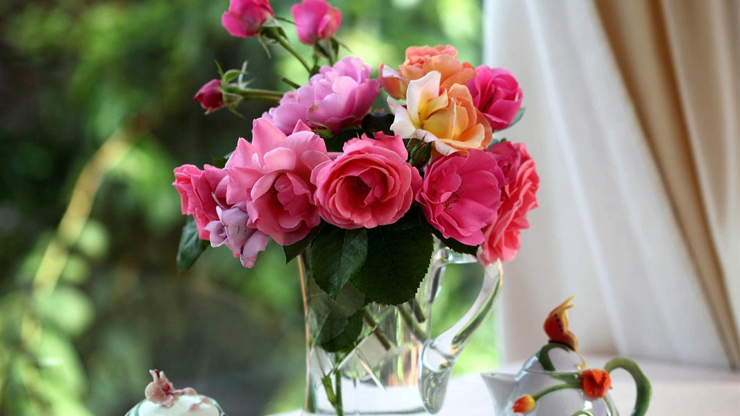 Growing Roses For Cutting