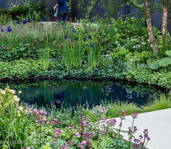 How to construct a pond &ndash; secrets of success with water