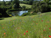Lady Farm, Chelwood, Somerset, England: planting for impact