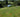 Lady Farm, Chelwood, Somerset, England: planting for impact