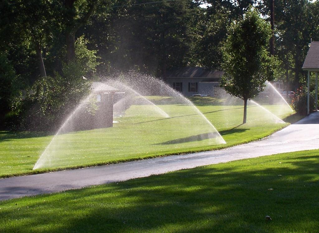 Irrigation: Watering Your Garden