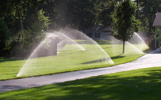 Irrigation: Watering Your Garden
