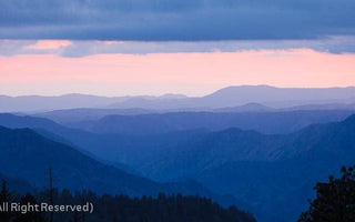 The Histogram: Maximising Your Image Quality: